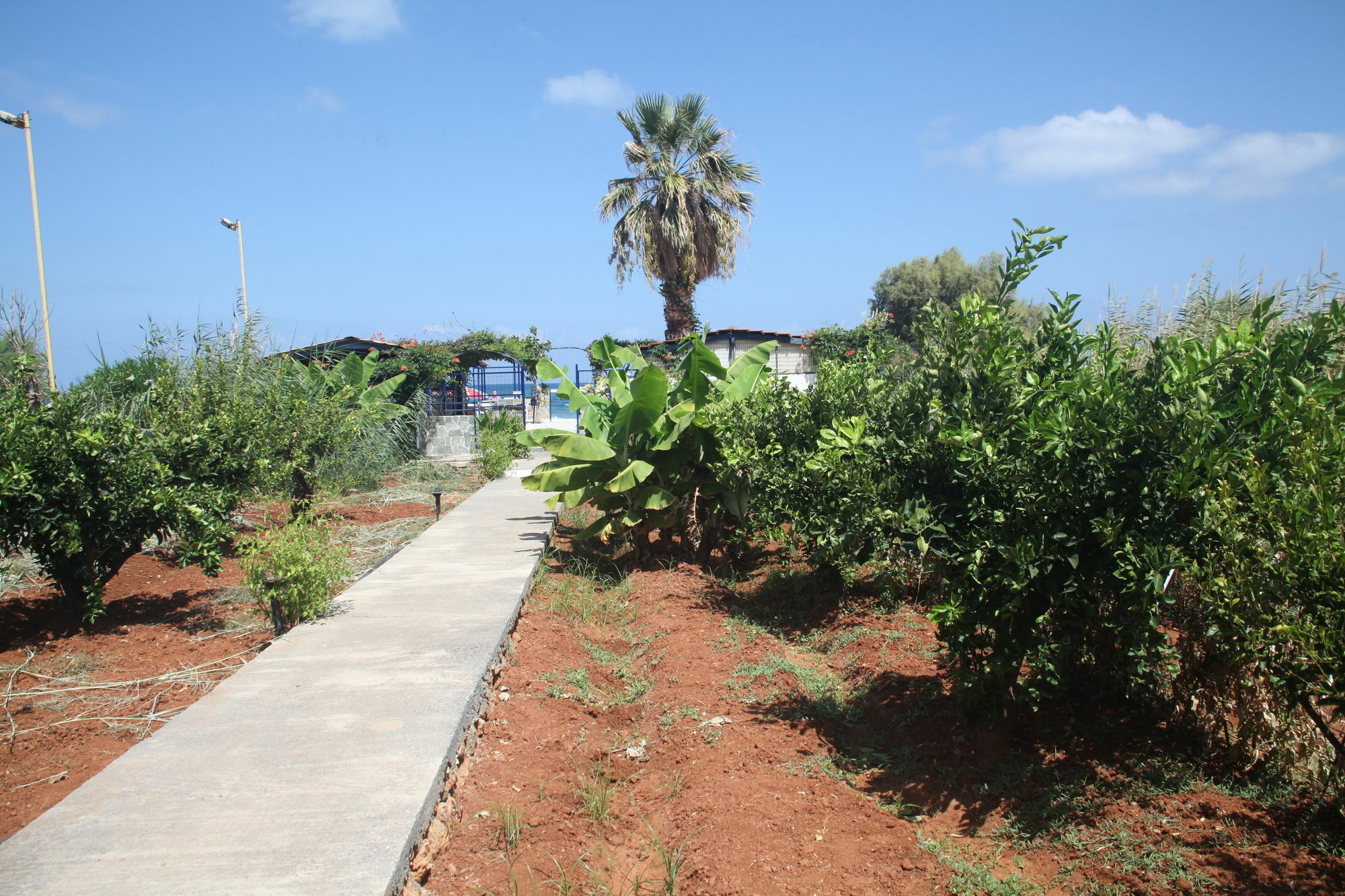 Panorama Hotel Apartments & Suites By Estia Stalida Exterior photo